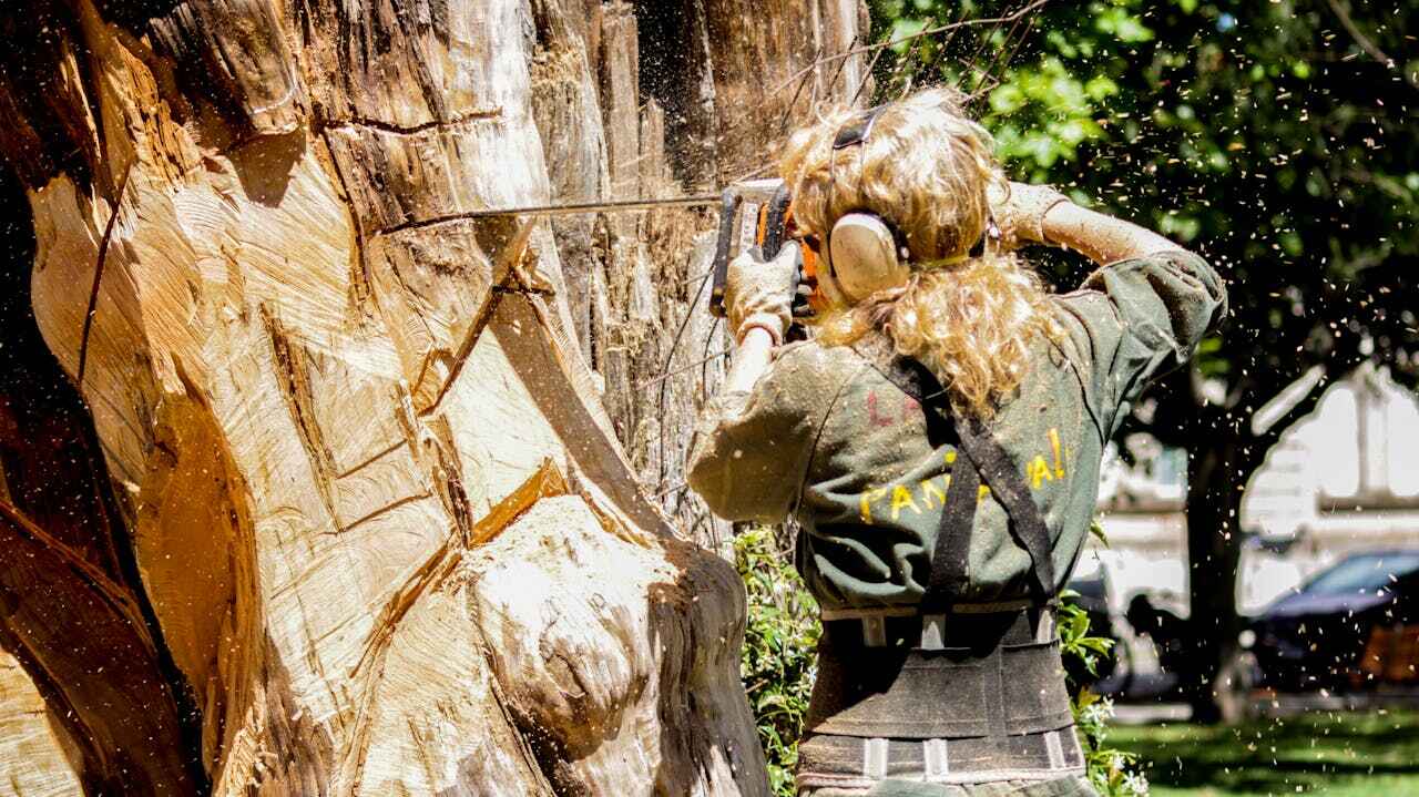 Best Tree Branch Trimming  in Fabrica, TX